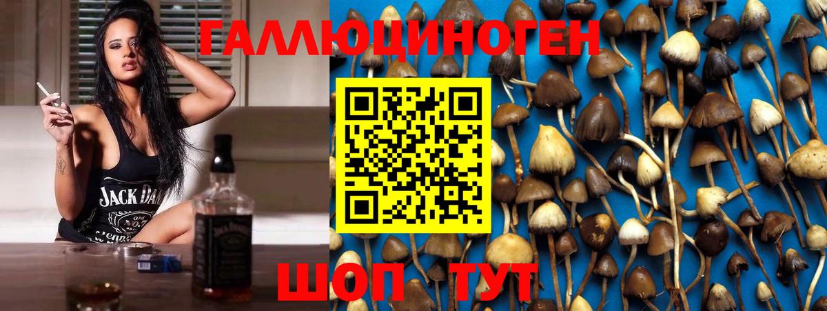 Химки  Галлюциногенные грибы мухоморы  Вход с VPN 
